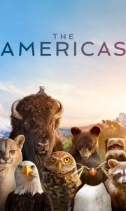The Americas