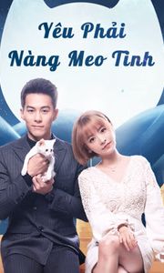 Yêu Phải Nàng Meo Tinh